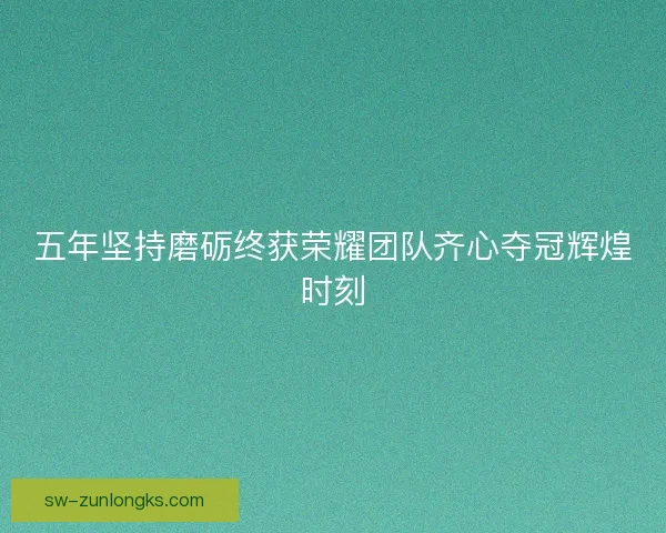 五年坚持磨砺终获荣耀团队齐心夺冠辉煌时刻