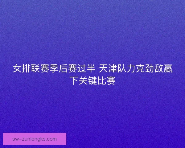 女排联赛季后赛过半 天津队力克劲敌赢下关键比赛